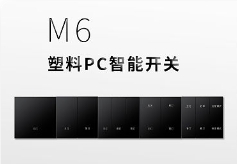PL-6 PC智能开关